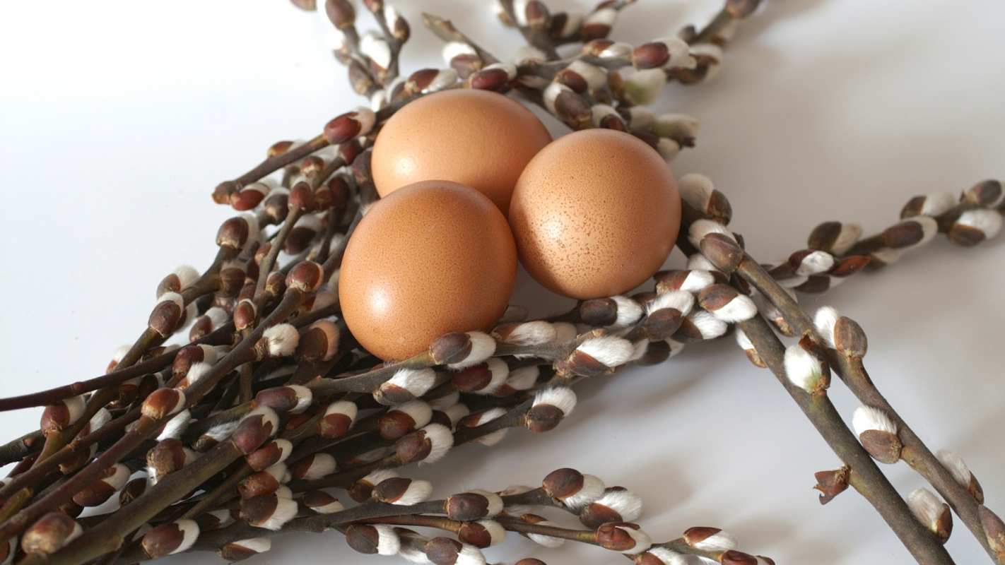 Открытка верба и яички 1 верба 1 Mit einem Palmsonntag 