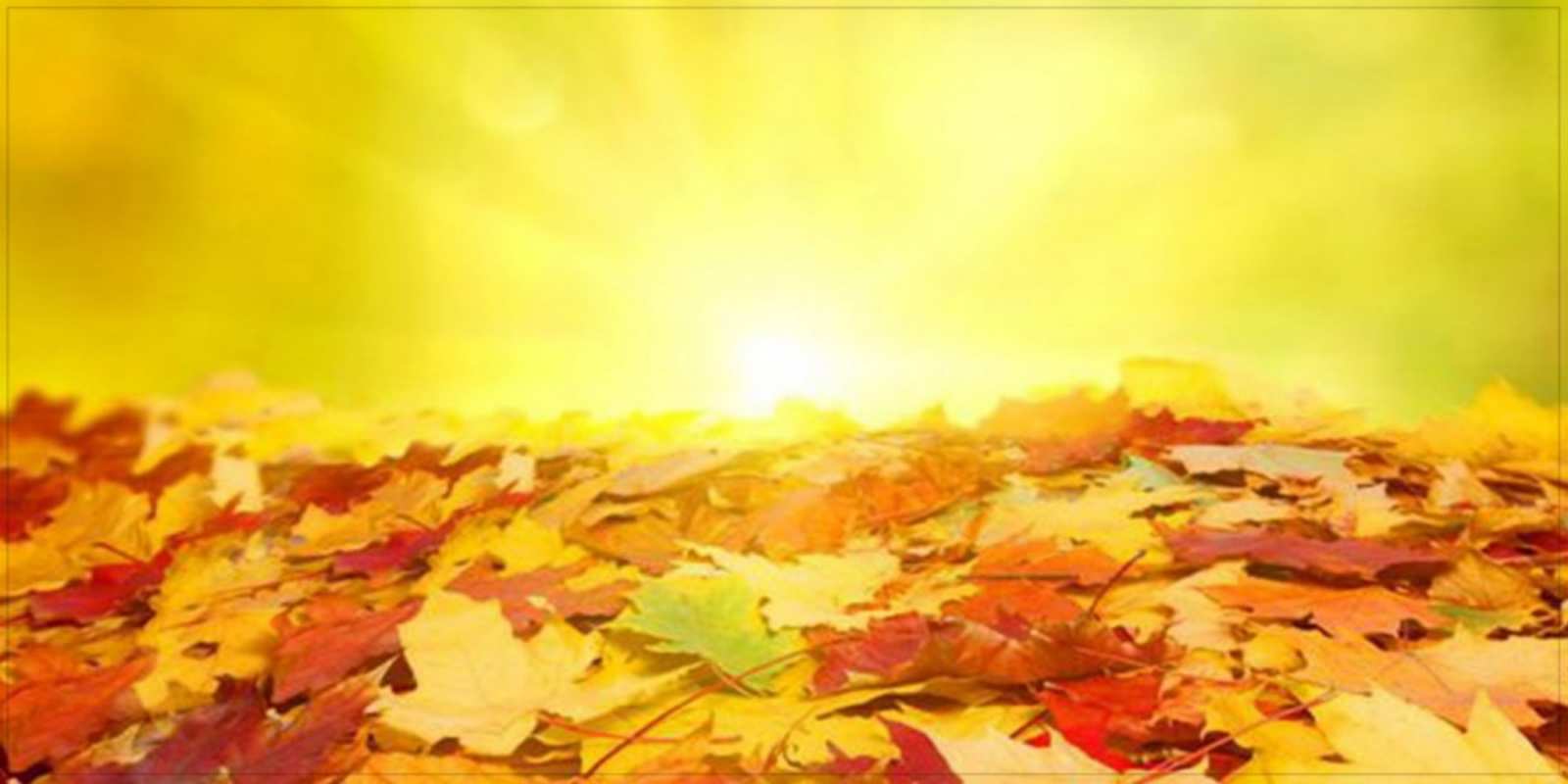 Открытка осенний листопад пожелания удачного дня Einen schönen Tag 