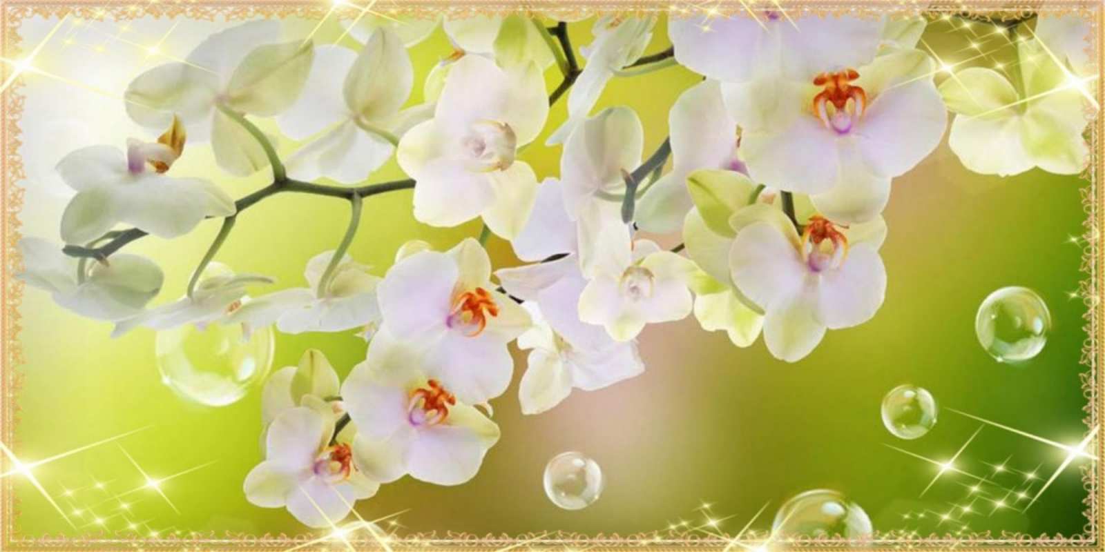 Открытка белые цветы на 8 марта открытка с цветами на международный женский день Am 8. März 