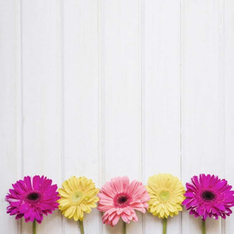 Открытка цветы для позитива  красный желтый и розовый цветок  Guten Morgen 