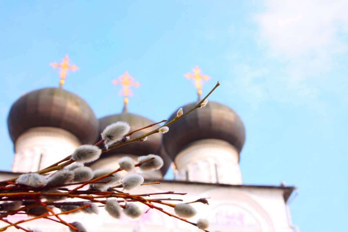 Открытка верба на фоне куполов  верба  Mit einem Palmsonntag 