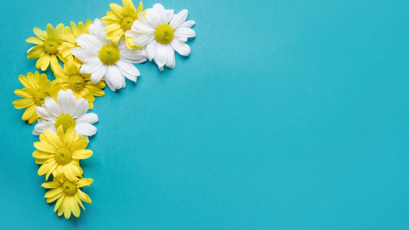 Открытка рамочка из ромашек  с днем семьи   Mit dem Familientag 