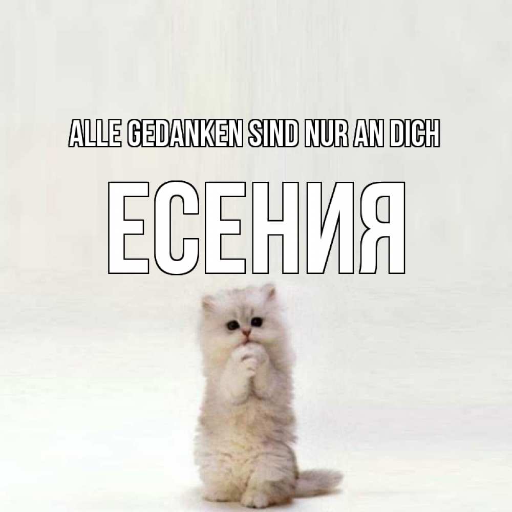 Открытка на каждый день с именем, Есения Alle Gedanken sind nur an dich кот стоит на задних лапах Прикольная открытка с пожеланием онлайн скачать бесплатно 