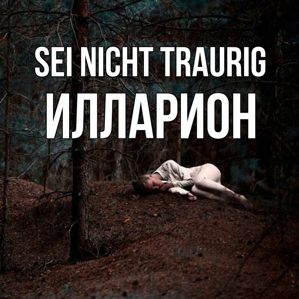 Открытка на каждый день с именем, Илларион Sei nicht traurig лес Прикольная открытка с пожеланием онлайн скачать бесплатно 