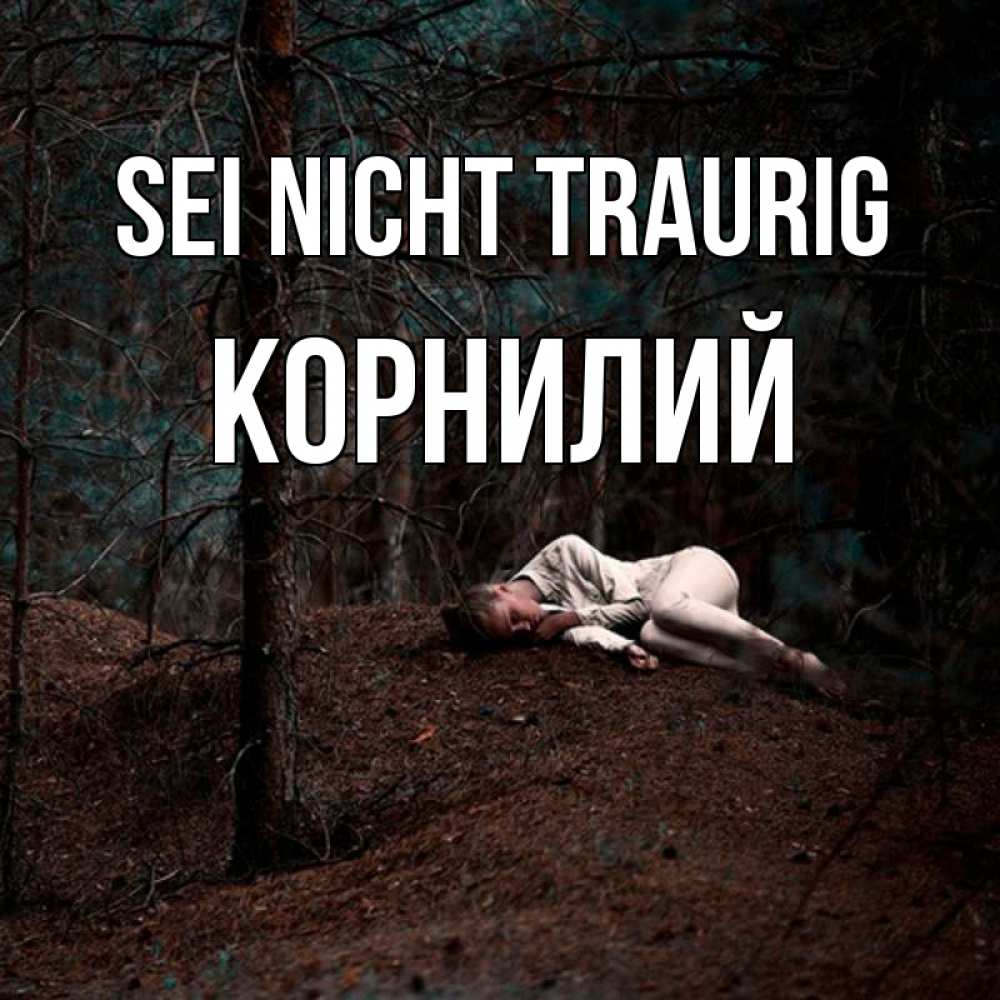 Открытка на каждый день с именем, Корнилий Sei nicht traurig лес Прикольная открытка с пожеланием онлайн скачать бесплатно 