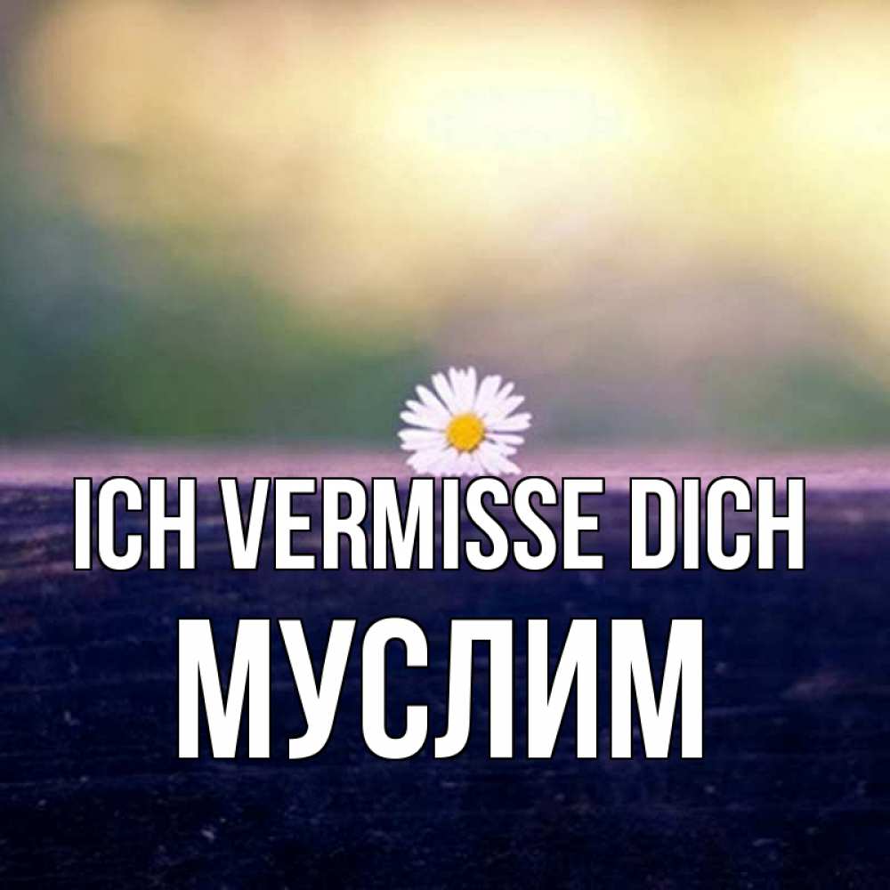 Открытка на каждый день с именем, Муслим Ich vermisse dich приходи в гости Прикольная открытка с пожеланием онлайн скачать бесплатно 