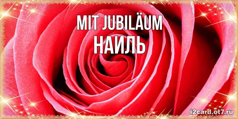 Открытка на каждый день с именем, Наиль Mit Jubiläum розовая роза очень крупный бутон Прикольная открытка с пожеланием онлайн скачать бесплатно 