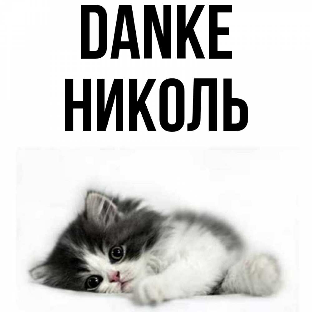 Открытка на каждый день с именем, Николь Danke черный и белый кот Прикольная открытка с пожеланием онлайн скачать бесплатно 
