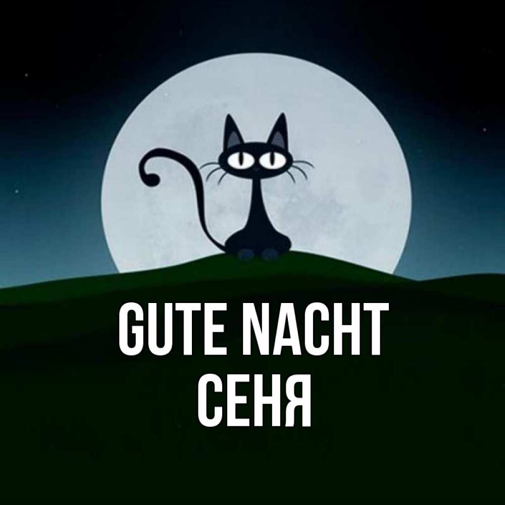 Открытка на каждый день с именем, Сеня Gute Nacht хорошо выспаться ночью и без кошмаров Прикольная открытка с пожеланием онлайн скачать бесплатно 