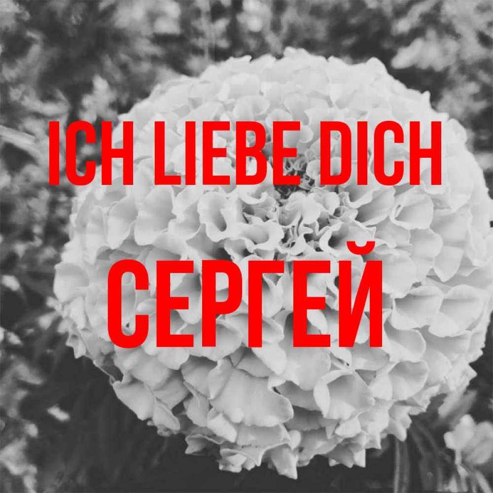 Открытка на каждый день с именем, Сергей Ich liebe dich подпись Прикольная открытка с пожеланием онлайн скачать бесплатно 