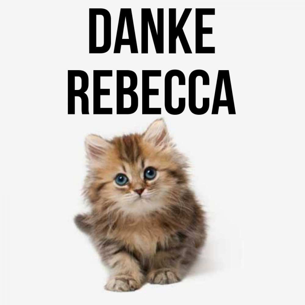 Открытка на каждый день с именем, Rebecca Danke пушистый котик Прикольная открытка с пожеланием онлайн скачать бесплатно 