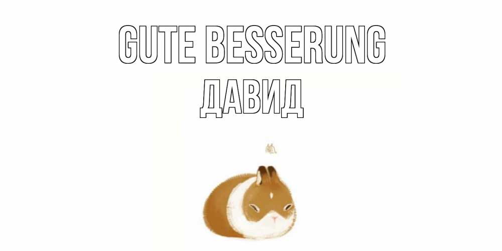 Открытка на каждый день с именем, Давид Gute Besserung морская свинка на открытке с пожеланиями не болеть Прикольная открытка с пожеланием онлайн скачать бесплатно 