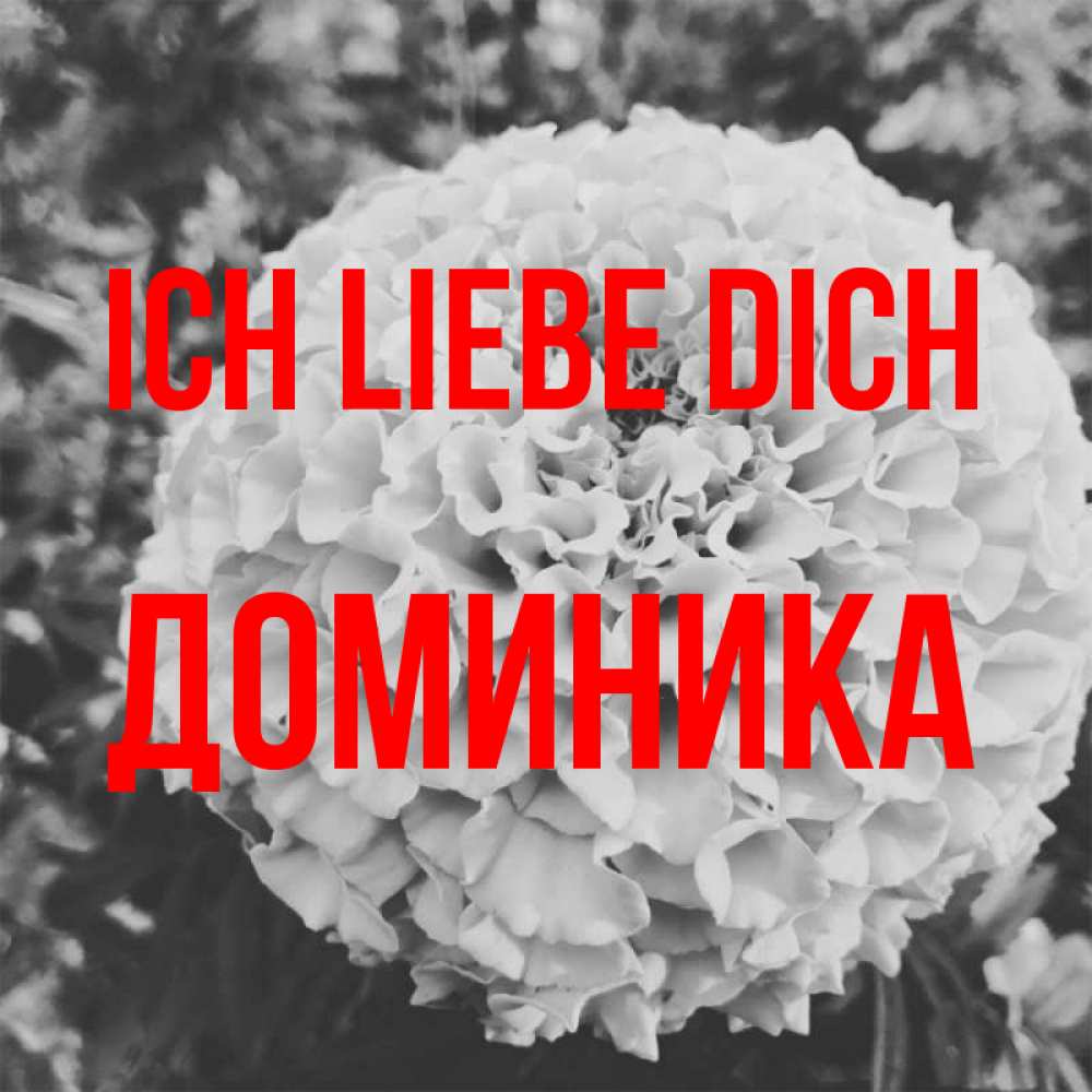 Открытка на каждый день с именем, Доминика Ich liebe dich подпись Прикольная открытка с пожеланием онлайн скачать бесплатно 