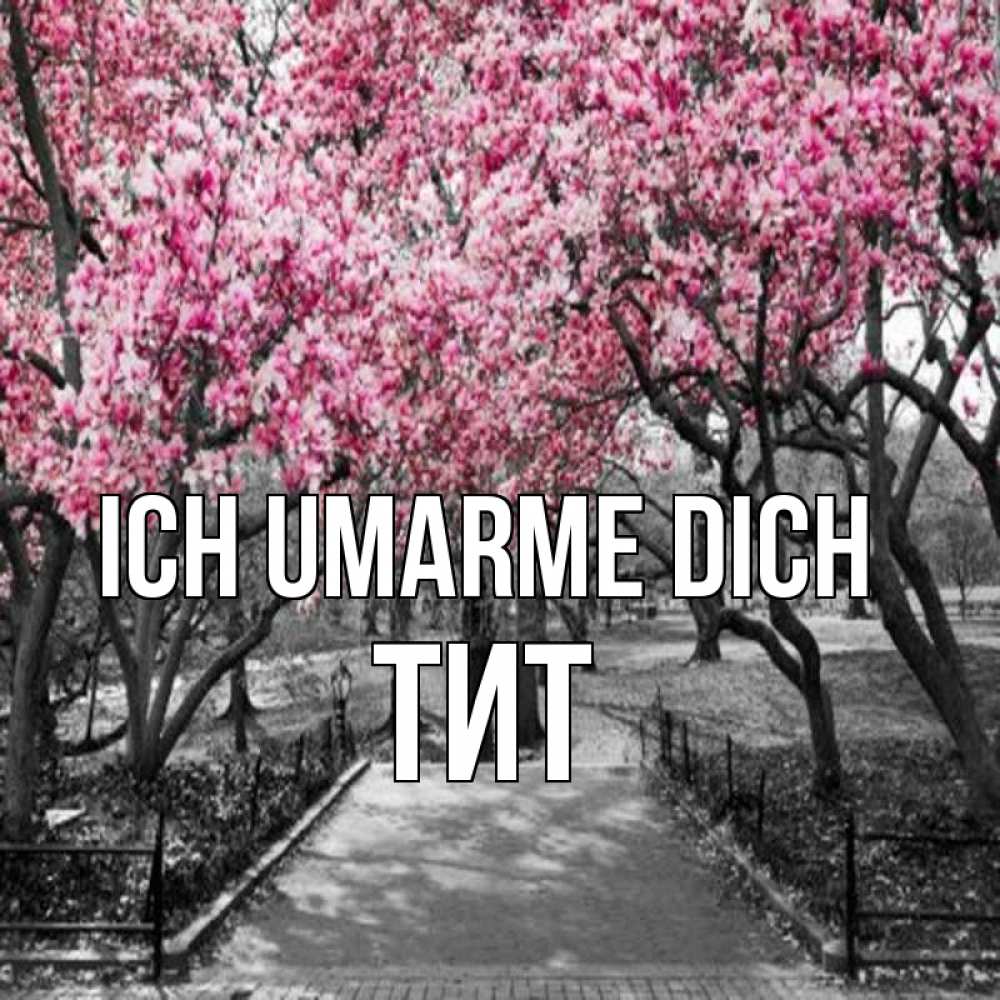 Открытка на каждый день с именем, Тит Ich umarme dich обработанное фото Прикольная открытка с пожеланием онлайн скачать бесплатно 