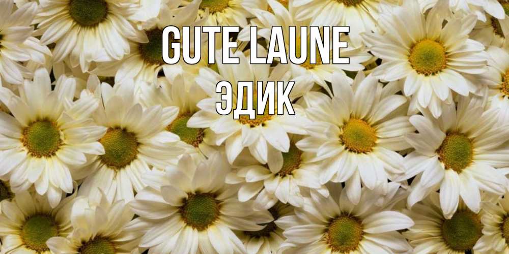 Открытка на каждый день с именем, Эдик Gute Laune крупные ромашки Прикольная открытка с пожеланием онлайн скачать бесплатно 