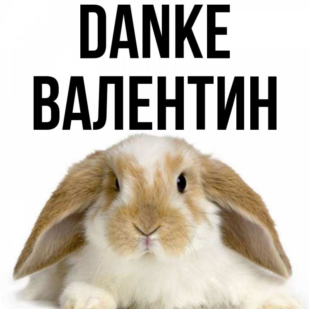 Открытка на каждый день с именем, Валентин Danke коричнево белый заяц Прикольная открытка с пожеланием онлайн скачать бесплатно 
