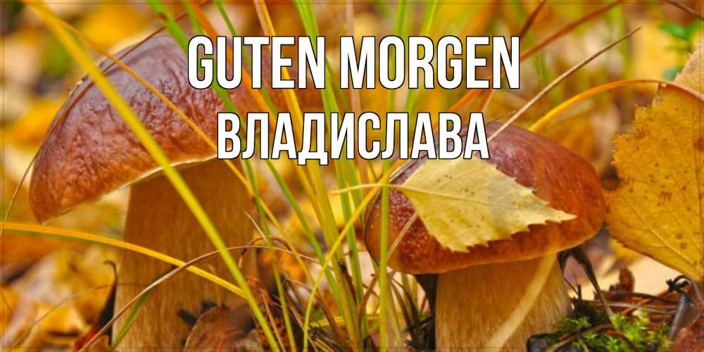 Открытка на каждый день с именем, Владислава Guten Morgen осенние грибы Прикольная открытка с пожеланием онлайн скачать бесплатно 