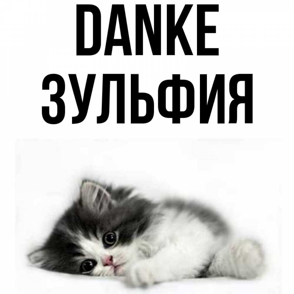 Открытка на каждый день с именем, Зульфия Danke черный и белый кот Прикольная открытка с пожеланием онлайн скачать бесплатно 