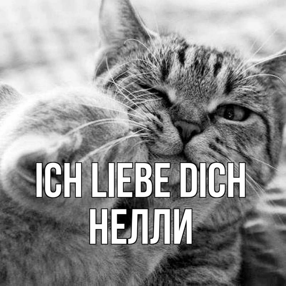 Открытка на каждый день с именем, Нелли Ich liebe dich коты Прикольная открытка с пожеланием онлайн скачать бесплатно 