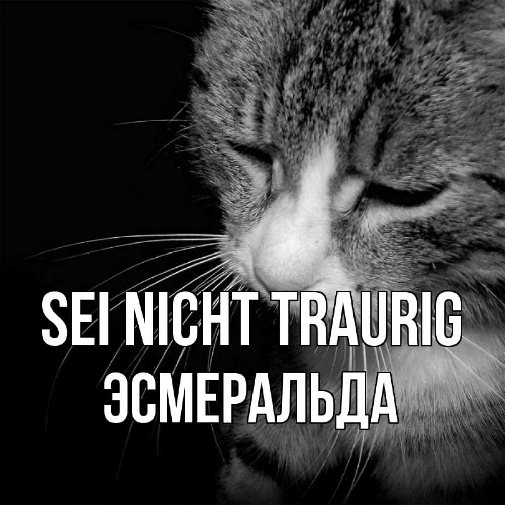 Открытка на каждый день с именем, Эсмеральда Sei nicht traurig грустный котик Прикольная открытка с пожеланием онлайн скачать бесплатно 