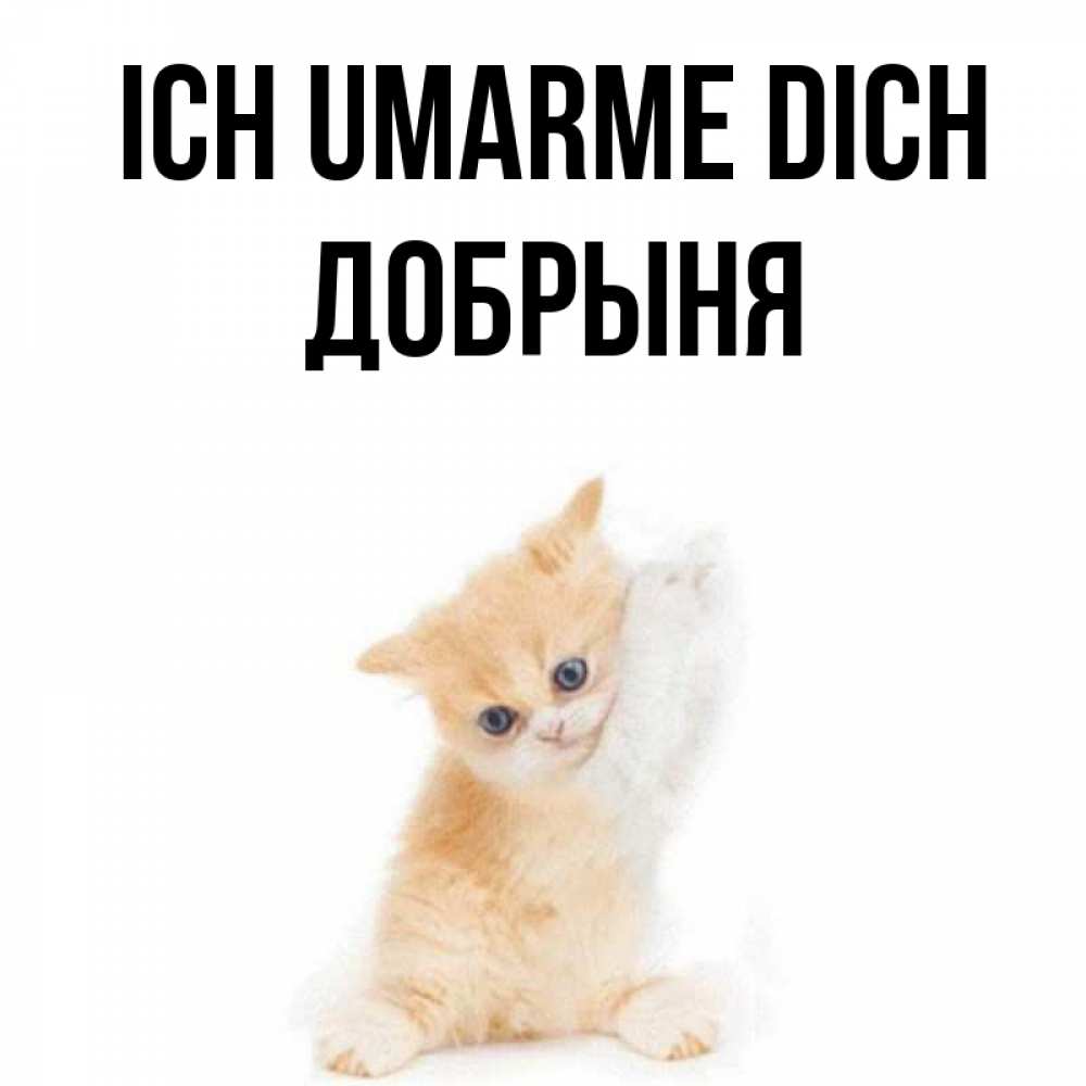 Открытка на каждый день с именем, Добрыня Ich umarme dich я хочу очень скорее обнимаешек Прикольная открытка с пожеланием онлайн скачать бесплатно 