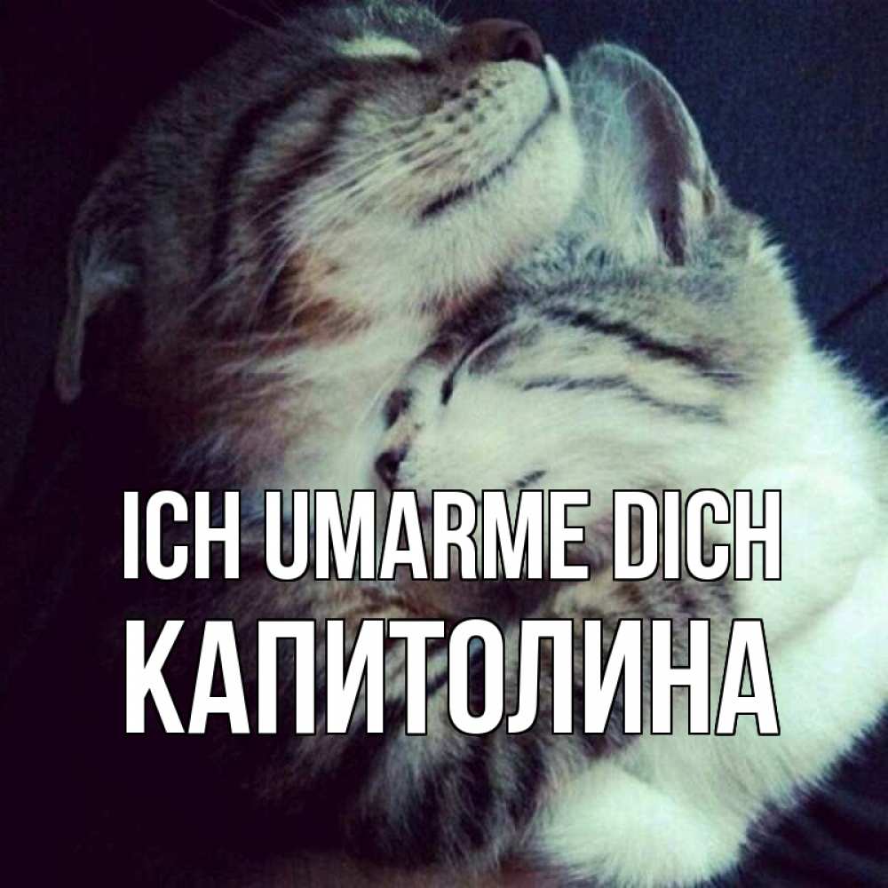 Открытка на каждый день с именем, Капитолина Ich umarme dich полосатики Прикольная открытка с пожеланием онлайн скачать бесплатно 