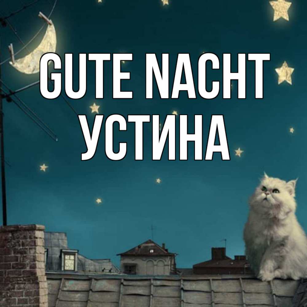 Открытка на каждый день с именем, Устина Gute Nacht белый кот сидит на крыше Прикольная открытка с пожеланием онлайн скачать бесплатно 