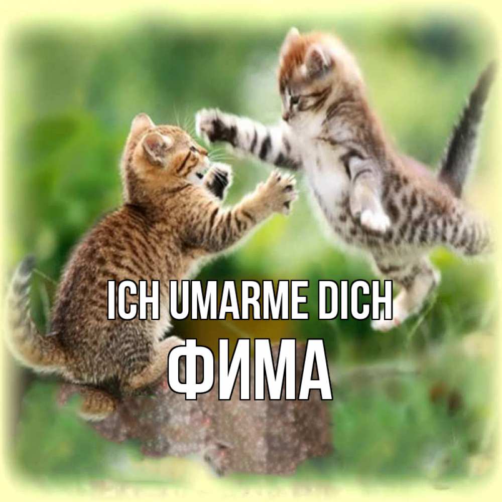 Открытка на каждый день с именем, Фима Ich umarme dich игры котят Прикольная открытка с пожеланием онлайн скачать бесплатно 