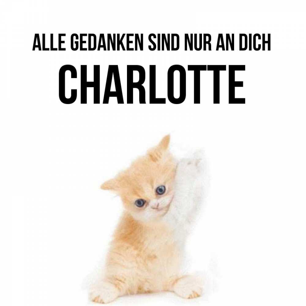 Открытка на каждый день с именем, Charlotte Alle Gedanken sind nur an dich зверушки и милота Прикольная открытка с пожеланием онлайн скачать бесплатно 