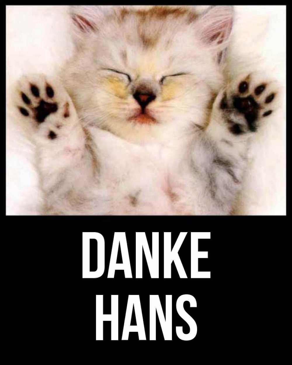 Открытка на каждый день с именем, Hans Danke маленький котенок Прикольная открытка с пожеланием онлайн скачать бесплатно 