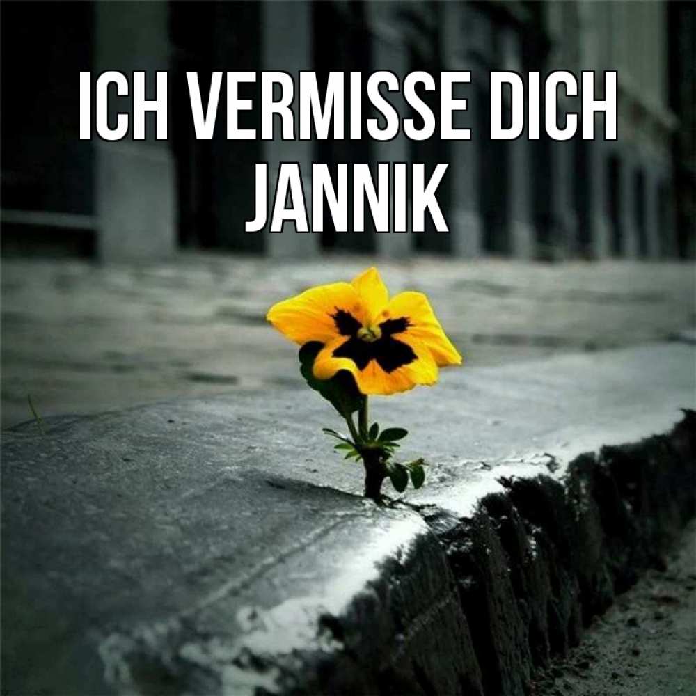 Открытка на каждый день с именем, Jannik Ich vermisse dich надеюсь будет лучше Прикольная открытка с пожеланием онлайн скачать бесплатно 