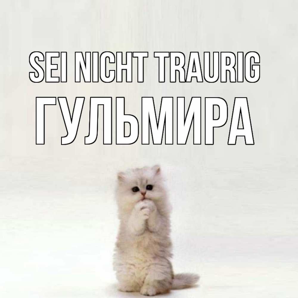 Открытка на каждый день с именем, Гульмира Sei nicht traurig грустный кот Прикольная открытка с пожеланием онлайн скачать бесплатно 