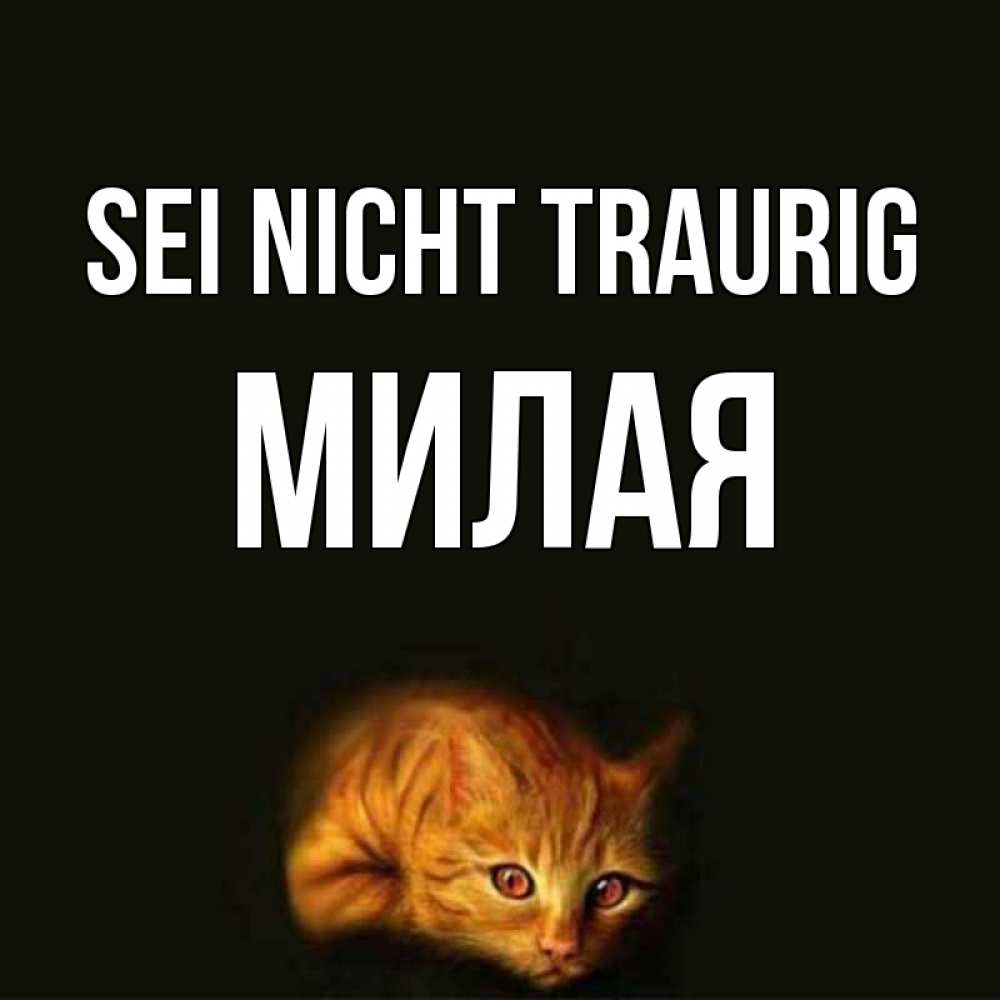 Открытка на каждый день с именем, Милая Sei nicht traurig лежащий кот в темноте Прикольная открытка с пожеланием онлайн скачать бесплатно 