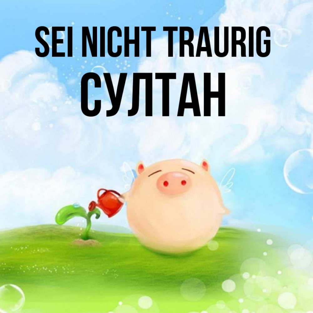 Открытка на каждый день с именем, Султан Sei nicht traurig поливает цветок порося Прикольная открытка с пожеланием онлайн скачать бесплатно 