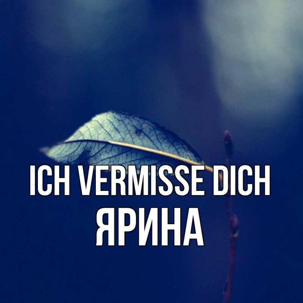 Открытка на каждый день с именем, Ярина Ich vermisse dich одна ветка 1 Прикольная открытка с пожеланием онлайн скачать бесплатно 