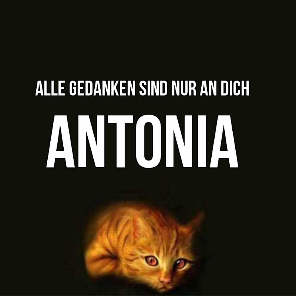 Открытка на каждый день с именем, Antonia Alle Gedanken sind nur an dich рыжий Прикольная открытка с пожеланием онлайн скачать бесплатно 
