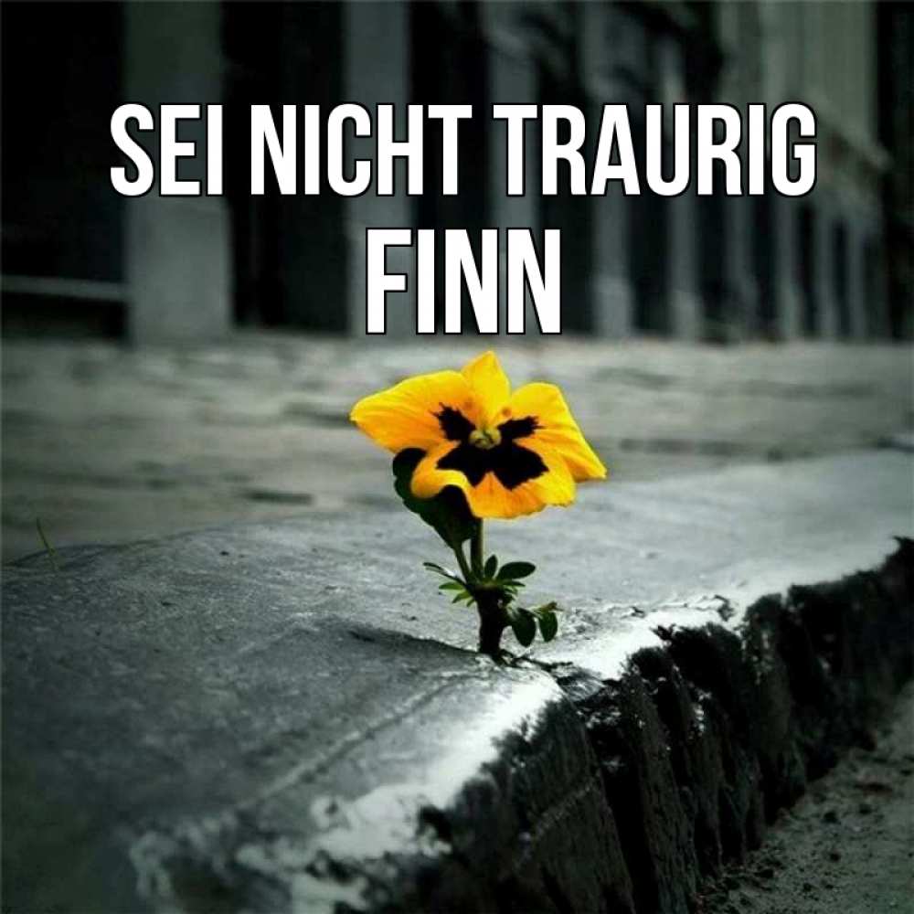 Открытка на каждый день с именем, Finn Sei nicht traurig не сдавайся Прикольная открытка с пожеланием онлайн скачать бесплатно 