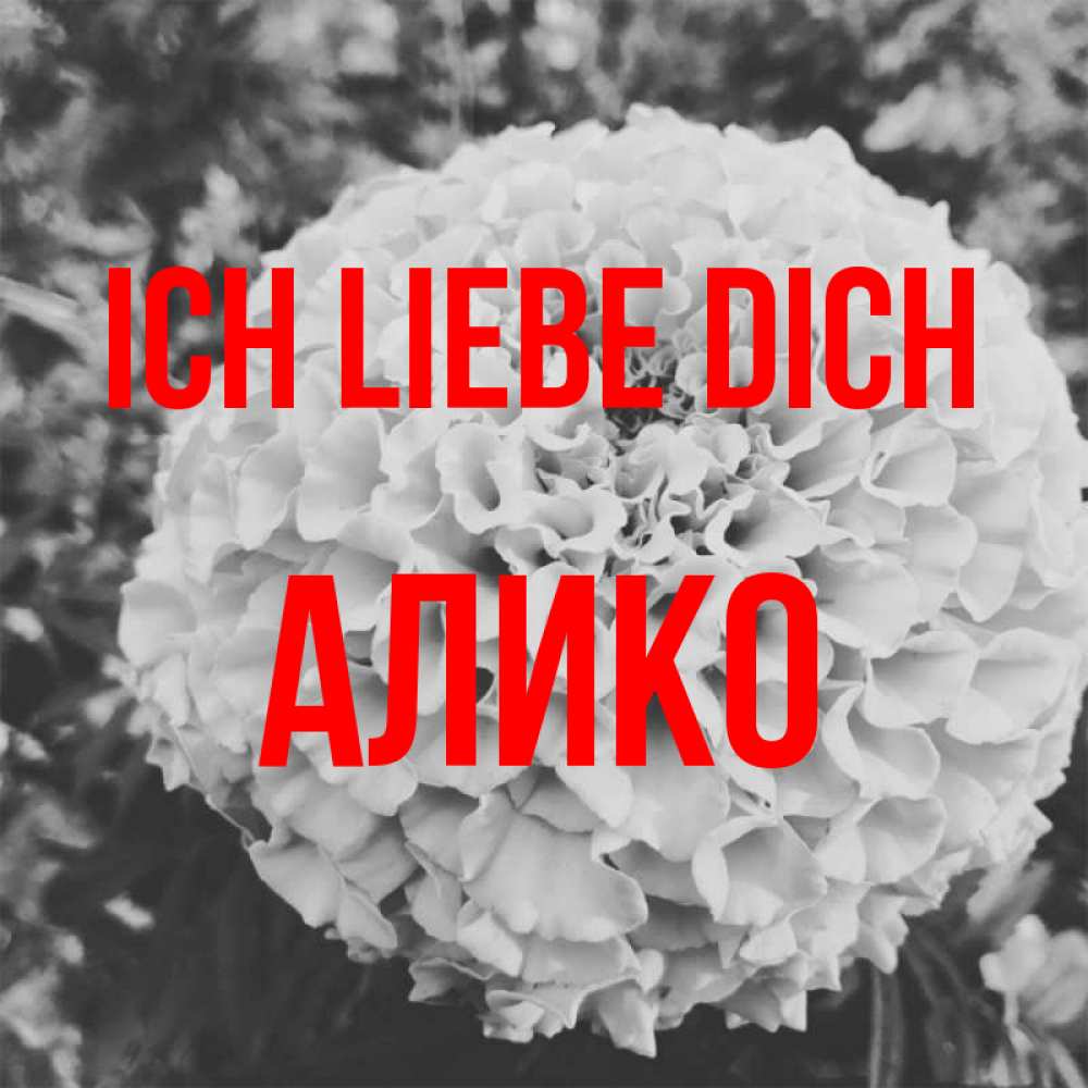Открытка на каждый день с именем, Алико Ich liebe dich подпись Прикольная открытка с пожеланием онлайн скачать бесплатно 