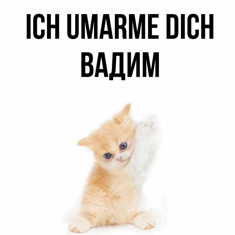 Открытка на каждый день с именем, Вадим Ich umarme dich я хочу очень скорее обнимаешек Прикольная открытка с пожеланием онлайн скачать бесплатно 