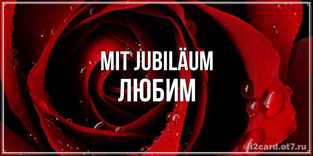 Открытка на каждый день с именем, Любим Mit Jubiläum крупная бордовая роза Прикольная открытка с пожеланием онлайн скачать бесплатно 