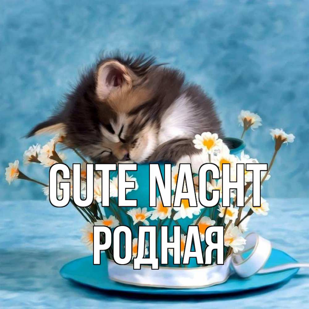 Открытка на каждый день с именем, Родная Gute Nacht котенок спит в кружке с блюдцем Прикольная открытка с пожеланием онлайн скачать бесплатно 