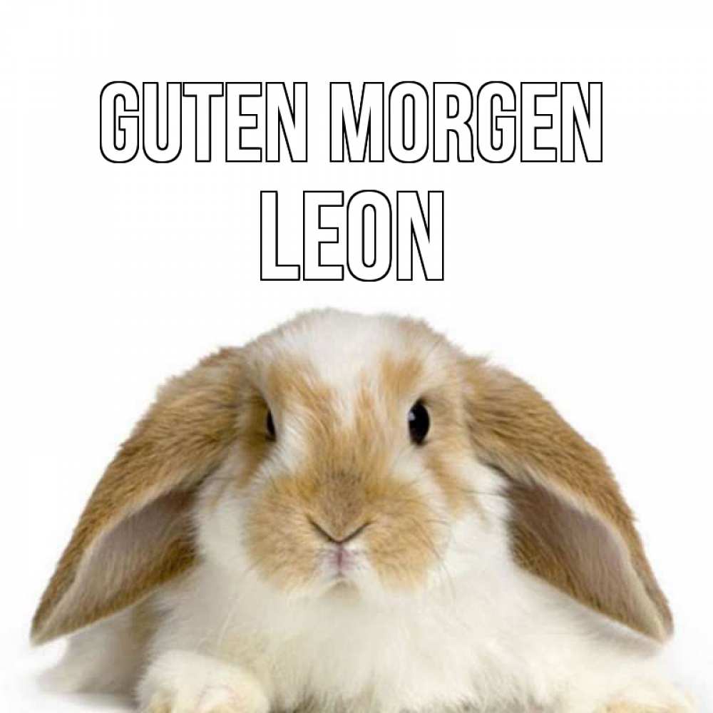 Открытка на каждый день с именем, Leon Guten Morgen прикольные открытки на каждый день Прикольная открытка с пожеланием онлайн скачать бесплатно 
