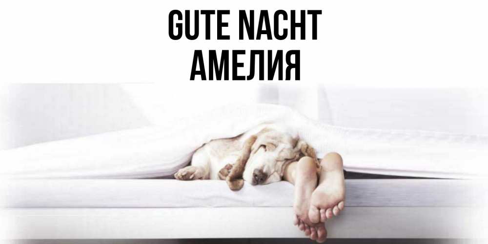 Открытка на каждый день с именем, Амелия Gute Nacht кровать с собакой пожелание сладких снов и спокойной ночи Прикольная открытка с пожеланием онлайн скачать бесплатно 