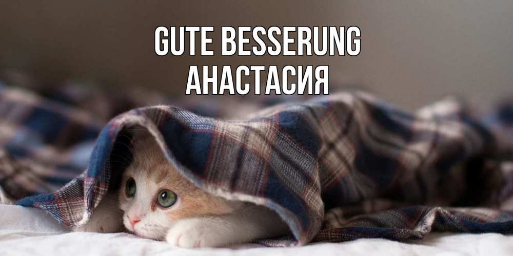 Открытка на каждый день с именем, Анастасия Gute Besserung не болейте с котиком Прикольная открытка с пожеланием онлайн скачать бесплатно 