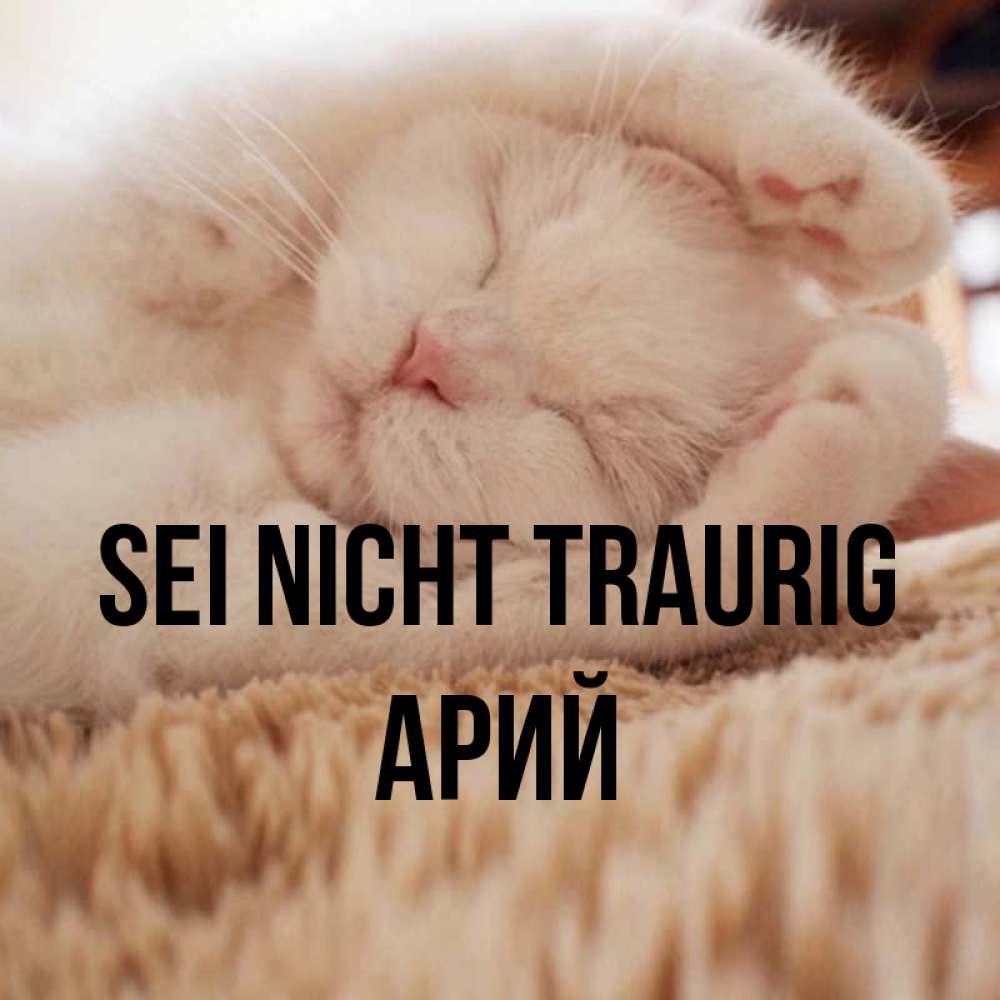 Открытка на каждый день с именем, Арий Sei nicht traurig Котенок спит Прикольная открытка с пожеланием онлайн скачать бесплатно 