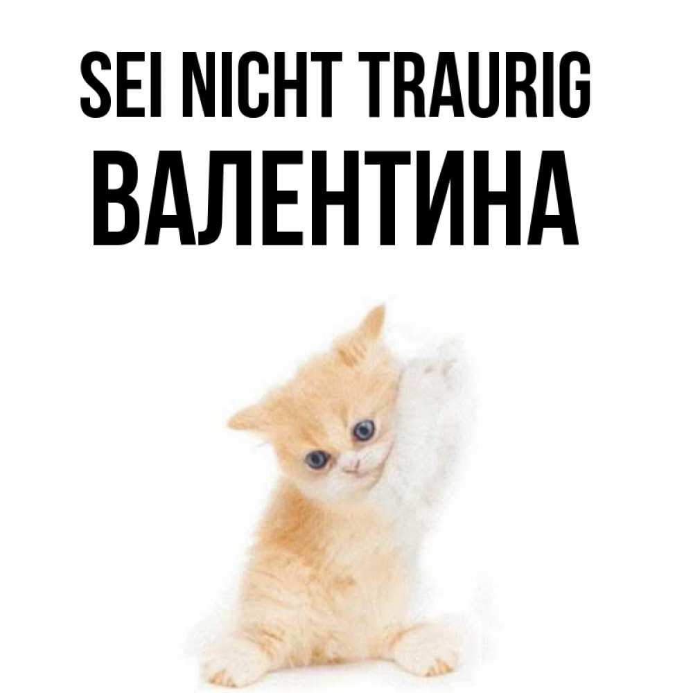 Открытка на каждый день с именем, Валентина Sei nicht traurig просящий кот Прикольная открытка с пожеланием онлайн скачать бесплатно 