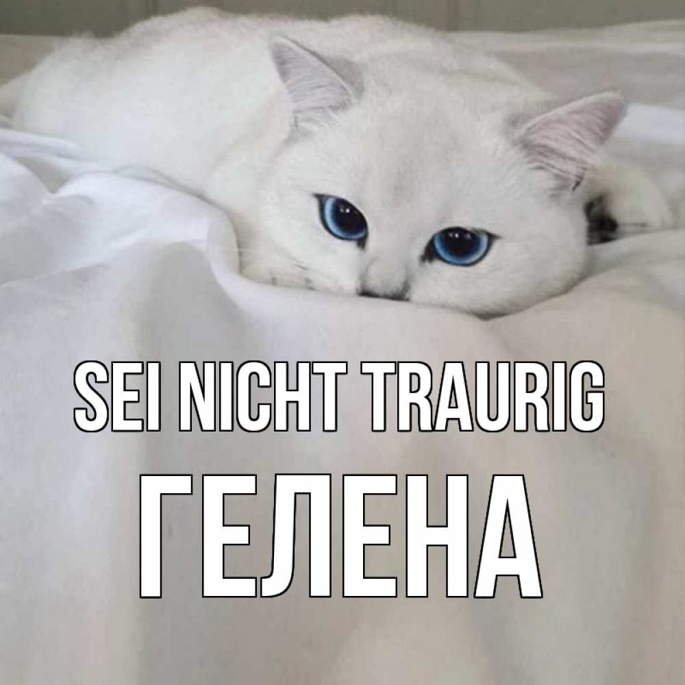 Открытка на каждый день с именем, Гелена Sei nicht traurig белый кот с голубыми глазами на белоснежной кровати Прикольная открытка с пожеланием онлайн скачать бесплатно 