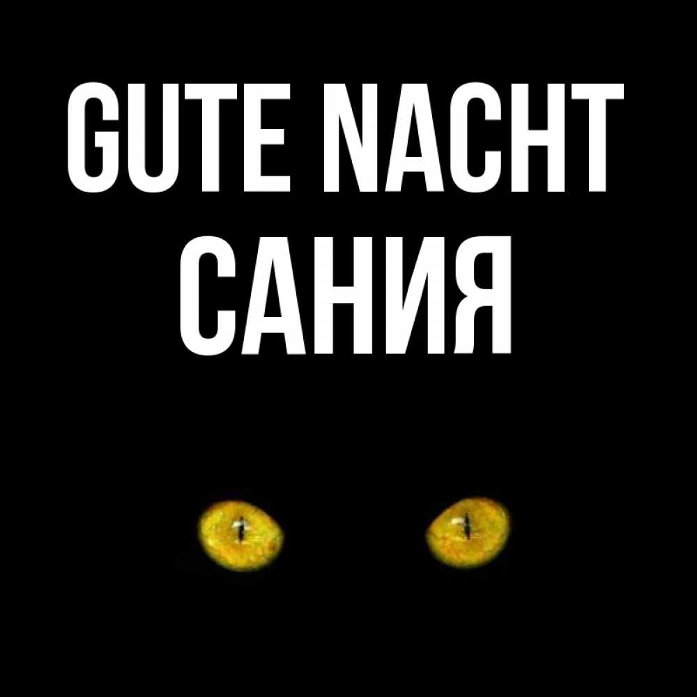 Открытка на каждый день с именем, Сания Gute Nacht сладких снов бесстрашный мой дружочек Прикольная открытка с пожеланием онлайн скачать бесплатно 