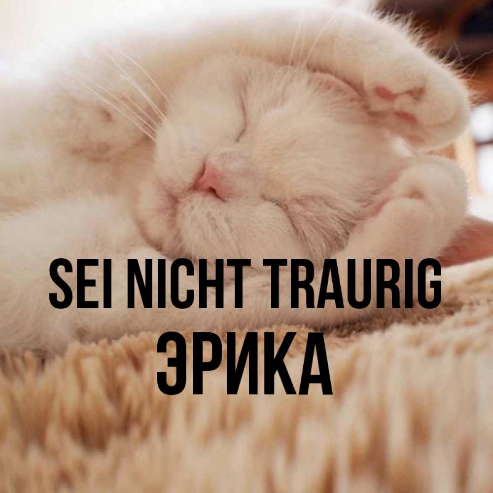Открытка на каждый день с именем, Эрика Sei nicht traurig Котенок спит Прикольная открытка с пожеланием онлайн скачать бесплатно 
