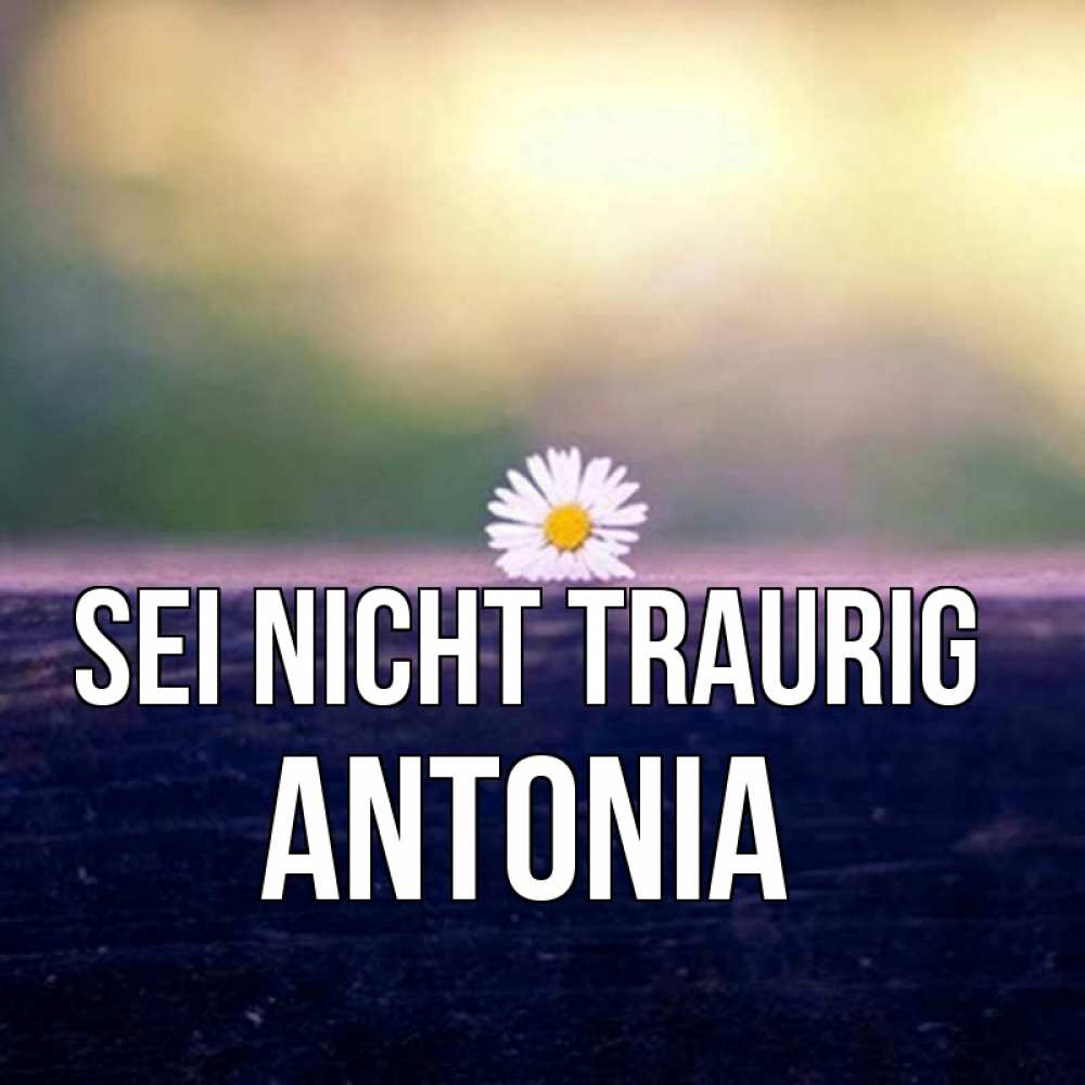 Открытка на каждый день с именем, Antonia Sei nicht traurig красота Прикольная открытка с пожеланием онлайн скачать бесплатно 